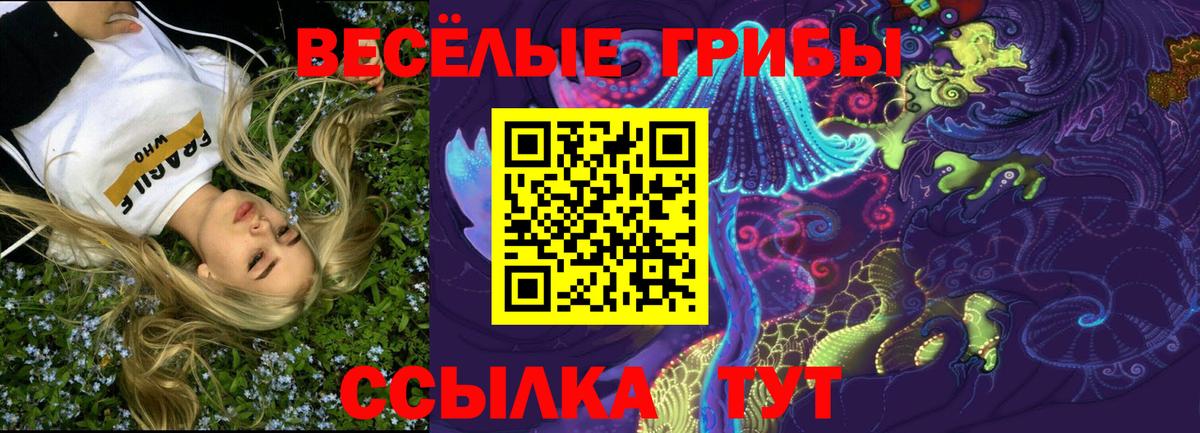 наркота  Галлюциногенные грибы Cubensis  Вход с VPN  Нарткала 